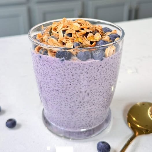 Instant Blueberry Chia Pudding (Easy, Gluten-Free, 50g Protein!)